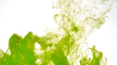 Güzel soyut bir arka plan. Yeşil boyalar suya karıştırılır. Beyaz zemin üzerinde yeşil suluboya mürekkep. Beyaz arkaplanda renkli mürekkep bulutu.