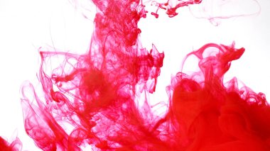 Beyaz arka planda renkli mürekkep bulutu. Beyaz arka planda kırmızı suluboya mürekkep. Güzel soyut bir arka plan. Kan kırmızısı akrilik boyalar suda karışıyor..