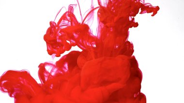 Güzel soyut bir arka plan. Kan kırmızısı akrilik boyalar suda karışıyor. Beyaz arka planda renkli mürekkep bulutu. Beyaz zemin üzerinde kırmızı suluboya mürekkep.