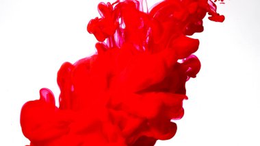Kan kırmızısı akrilik boyalar suda karışıyor. Beyaz arka planda renkli mürekkep bulutu. Beyaz arka planda kırmızı suluboya mürekkep. Güzel soyut arkaplan.