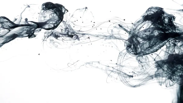 Black cloud of ink on a white background. Abstract background. Drops of black ink in water. Colored acrylic paints in water. Black watercolor ink in water on a white background.