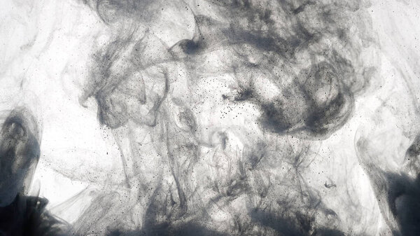 Черные акварельные чернила в воде на белом фоне. Цветные акриловые краски смешиваются в воде. Потрясающий абстрактный фон. Черное облако чернил на белом фоне.