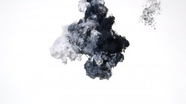 Beyaz arka planda suya karıştırılmış siyah beyaz suluboya mürekkep. Güzel soyut bir arka plan. Ekran koruyucu, rahatlatıcı meditasyon arka planı. Suyun içindeki renkli akrilik boyaların yavaş hareketi.