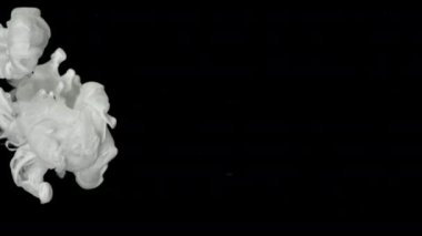 Siyah arka planda beyaz mürekkep bulutu. Suyun içinde yavaş hareket eden sıvı süt boyaları. Kozmik büyü soyut arka plan. Ekran koruyucu, rahatlatıcı meditasyon arkaplanı.