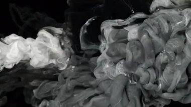 Siyah arka planda suya karıştırılmış beyaz ve siyah suluboya mürekkep. Yavaş hareket eden sütlü, gri ve siyah mürekkep dalgaları. Ekran koruyucu. Güzel soyut arkaplan.