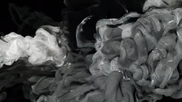 Witte Zwarte Aquarelinkt Gemengd Water Een Zwarte Achtergrond Slow Motion — Stockvideo