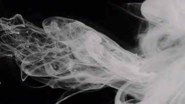 Siyah arka planda beyaz suluboya mürekkep. Yavaş çekim videosu. Ekran koruyucu, rahatlatıcı meditasyon arka planı. Sütlü beyaz harika soyut arkaplan.