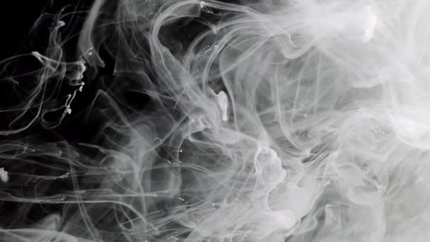 黒の背景に墨の白い雲 水に液体ミルク塗料の遅い動き スクリーンセーバー リラックスした瞑想抽象的な背景 — ストック動画