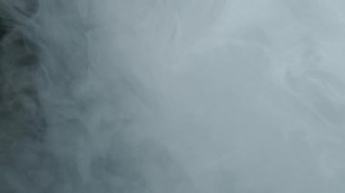 Sütlü beyaz, harika soyut bir arka plan. Siyah arka planda beyaz suluboya mürekkep. Ekran koruyucu, rahatlatıcı meditasyon arka planı. Yavaş çekim videosu.