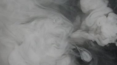 Beyaz suluboya mürekkep siyah arka planda suya dökülüyor. Güzel ekran koruyucu. Yavaş hareket eden sütlü mürekkep dalgaları suda birbirine karışıyor. Beyaz soyut arkaplan.