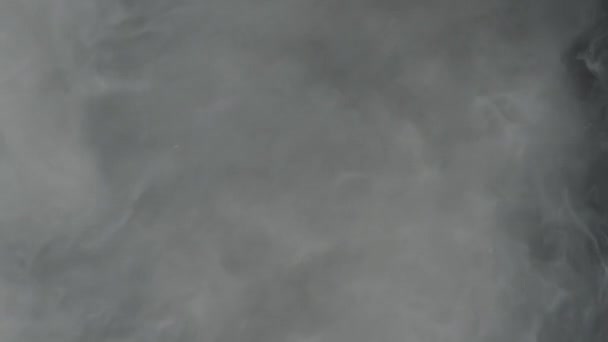 Tej Tintahullámainak Lassú Mozgása Füstjelző Képernyővédő Fehér Akvarell Tinta Keveredik — Stock videók