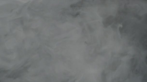 Weiße Aquarellfarbe Wasser Bildschirmschoner Entspannender Meditativer Hintergrund Rauchbildschirm Zeitlupenvideo Milchig — Stockvideo