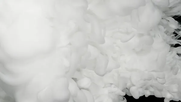 Fehér Akril Festékek Vízben Fekete Alapon Gyönyörű Tejfehér Félelmetes Elvont — Stock Fotó