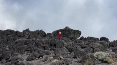 Siyah bir hamal, büyük kaya ve kayaların arasında kafasında bir kova su taşıyor. Dağ manzarası. Aralık 'ta Kilimanjaro' ya tırmanmak, Tanzanya, Afrika.