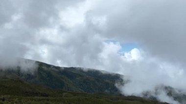 Kilimanjaro 'nun tropikal yeşil ormanlarından ve tepelerinden oluşan güzel bir manzara. Dağ manzarası. Mavi gökyüzü ve beyaz bulutlar. Aralık 'ta Kilimanjaro' ya tırmanmak, Tanzanya, Afrika.