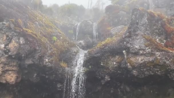 Маленький Водопад Горах Горный Пейзаж Красивый Ручей Чистой Прохладной Горной — стоковое видео