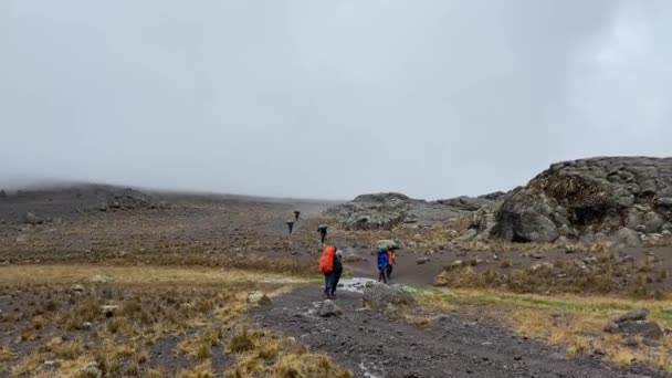 Skupina Černých Nosičů Kráčí Stezce Podél Machamovy Cesty Lezení Kilimandžáru — Stock video