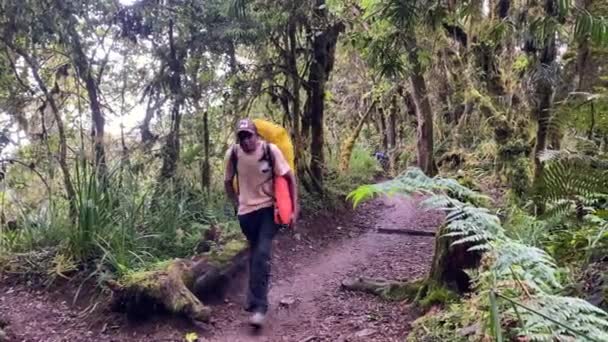 Grüner Dschungel Kilimandscharo Ein Schwarzer Mann Mit Einem Großen Touristenrucksack — Stockvideo