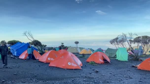 Kilimandzsáró Tanzánia 2021 December Panoráma Shira Barlangtáborról Turisták Sátrak Fekete — Stock videók