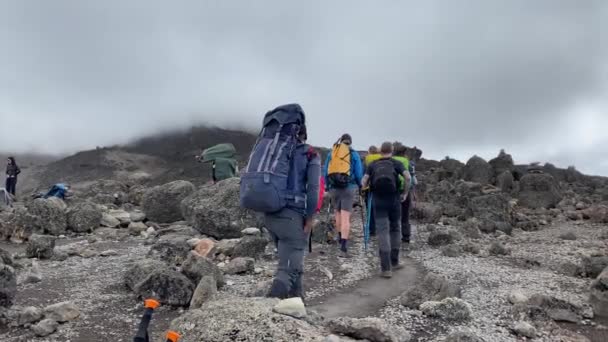 Kilimanjaro Tanzania December 2021 Een Groep Europese Toeristen Loopt Een — Stockvideo