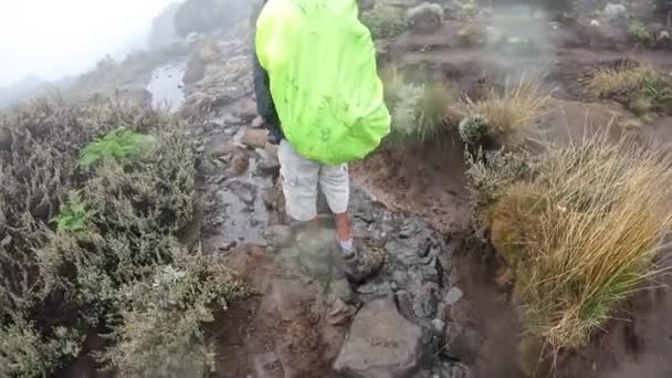 Черный Парень Пересекает Небольшие Ручьи Над Камнями Дождь Плохая Погода — стоковое видео