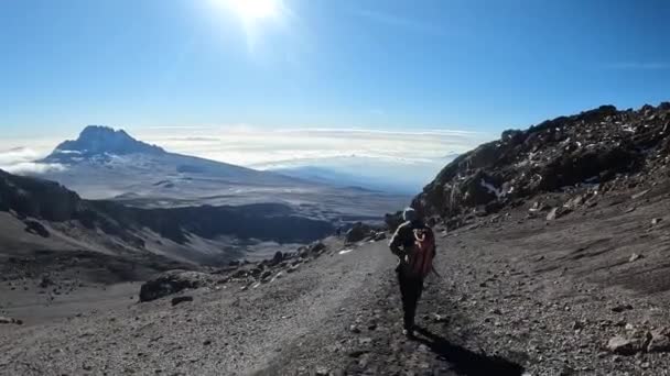 Hij Komt Van Berg Kilimanjaro Zicht Van Achteren Prachtig Berglandschap — Stockvideo