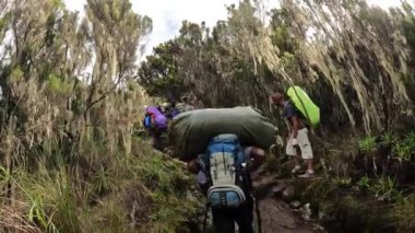 Kilimanjaro, Tanzanya - 28 Aralık 2021: Bir grup dağcı ve siyah hamallar kayalık bir dağ yolunda yürüyorlar. Kilimanjaro 'ya tırmanmak. Dağ manzarası.