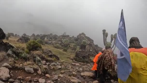 Kilimanjaro Tanzania December 2021 Stor Grupp Människor Går Längs Bergsstig — Stockvideo