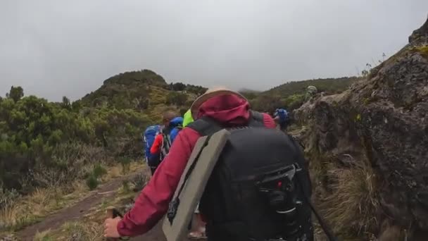 Kilimanjaro Tanzania Diciembre 2021 Mucha Gente Está Subiendo Por Camino — Vídeos de Stock