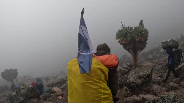Kilimanjaro Tanzania December 2021 Hikers Porters Mountain Trail Foggy Mountain — Stock Video