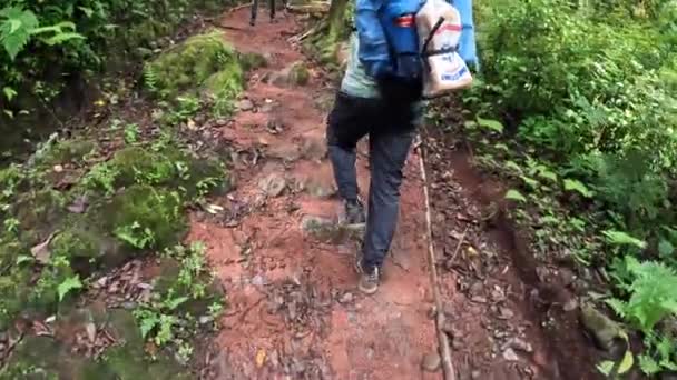2021年12月27日 坦桑尼亚乞力马扎罗市 一个脖子上挂着大行李箱的黑人搬运工跟随他的队伍穿过热带雨林 爬乞力马扎罗山森林景观 — 图库视频影像
