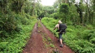 Sırt çantalı bir adam ve bir grup hamal yoğun yeşil bir yağmur ormanında yol boyunca yürüyorlar. Tırmanan Kilimanjaro, Tanzanya, Afrika.