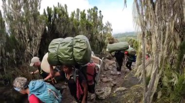 Kilimanjaro, Tanzanya - 27 Aralık 2021: Kayalık bir dağ yolunda büyük bir turist, hamal ve rehber kuyruğu. Kilimanjaro 'ya tırmanmak. Güzel manzara.