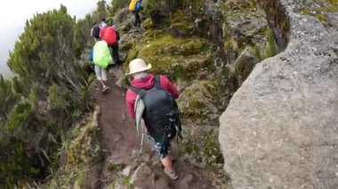 Kilimanjaro, Tanzanya - 28 Aralık 2021: Sırt çantalı yürüyüşçüler yeşil ağaçların ve büyük kayaların arasından dağ yolunda yürüyorlar. Kilimanjaro 'ya tırmanmak.