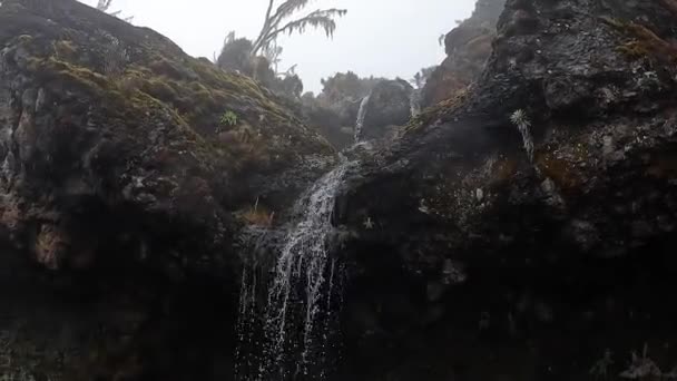 Красивый Маленький Водопад Горах Чистая Горная Холодная Чистая Вода Восхождение — стоковое видео