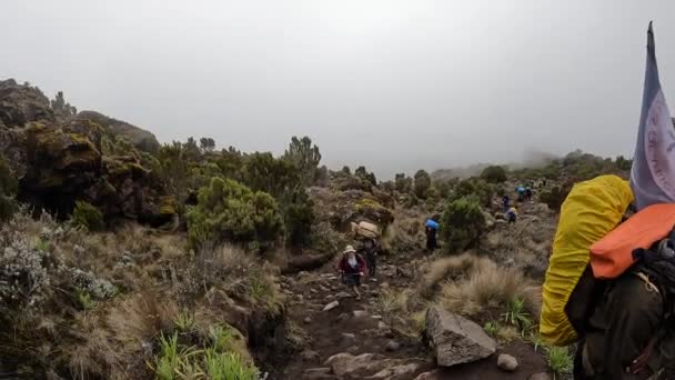 Kilimanjaro Tanzania Dicembre 2021 Gruppo Escursionisti Facchini Sale Sentiero Montagna — Video Stock