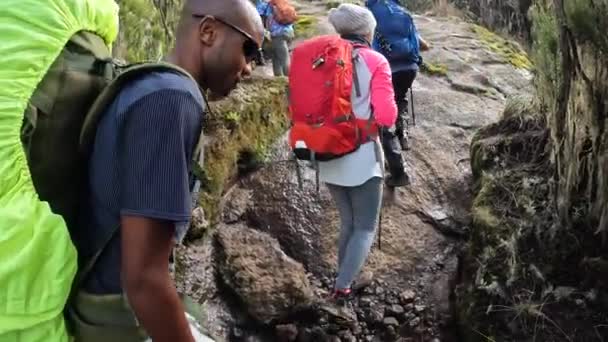Kilimandjaro Tanzanie Décembre 2021 Une Longue File Touristes Porteurs Avec — Video