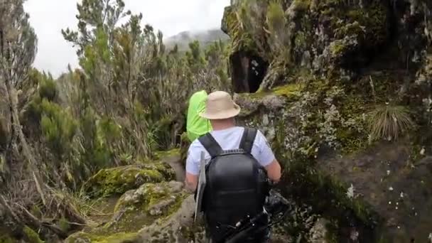 Kilimanjaro Tanzania Diciembre 2021 Dos Tipos Con Mochilas Caminan Largo — Vídeos de Stock