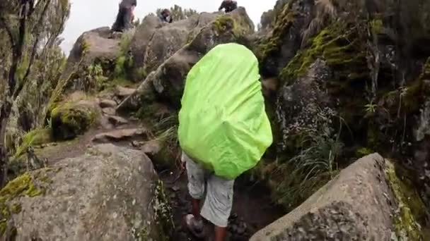 Kilimandjaro Tanzanie Décembre 2021 Noir Avec Gros Sac Dos Grimpe — Video