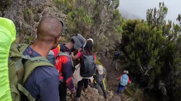 2021年12月28日 坦桑尼亚乞力马扎罗市 一群徒步旅行者和导游爬下一个小悬崖 爬乞力马扎罗山美丽的山景 — 图库视频影像
