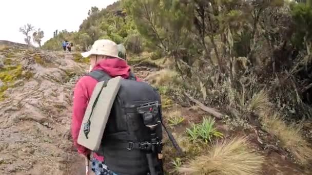 Kilimanjaro Tanzânia Dezembro 2021 Caminhante Branco Guia Preto Porteiro Sobem — Vídeo de Stock