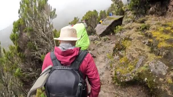Kilimanjaro Tanzânia Dezembro 2021 Grupo Turistas Caminha Longo Caminho Montanha — Vídeo de Stock