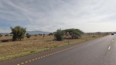 Safariye gidiyorduk. Tanzanya 'nın sonsuzluğu. Afrika 'nın güzel doğası. Dağlar, tepeler, otlayan hayvan sürüleri..