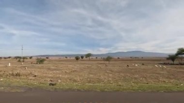 Afrika 'nın güzel doğası. Dağlar, tepeler, koyun sürüleri ve otlayan inekler. Tanzanya 'nın uçsuz bucaksız genişliğinin panoraması.