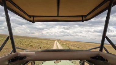 Bir safari cipinden Afrika 'nın çöl tarlalarının görüntüsü. Tanzanya 'nın uçsuz bucaksız genişliğinin panoraması. Afrika 'nın güzel doğası. Açık çatılı penceresiz safari için özel bir araba..
