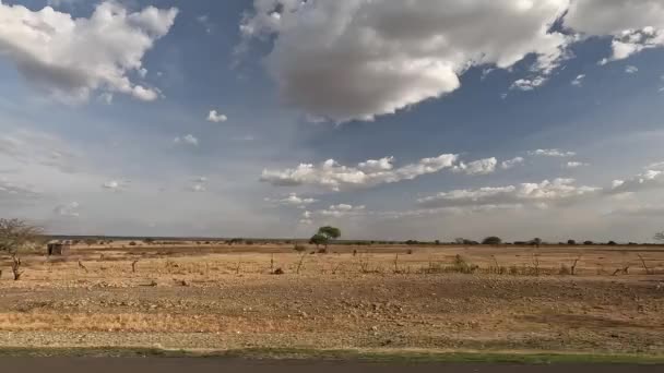Afrikaanse Natuur Zeldzame Bomen Struiken Blauwe Lucht Witte Wolken Grazende — Stockvideo