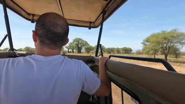 Sifat Luar Biasa Afrika Taman Nasional Tarangire Seorang Turis Dengan — Stok Video