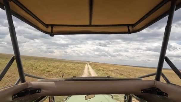 Pohled Pouštní Pole Afriky Safari Džípu Panorama Obrovských Rozloh Tanzanie — Stock video