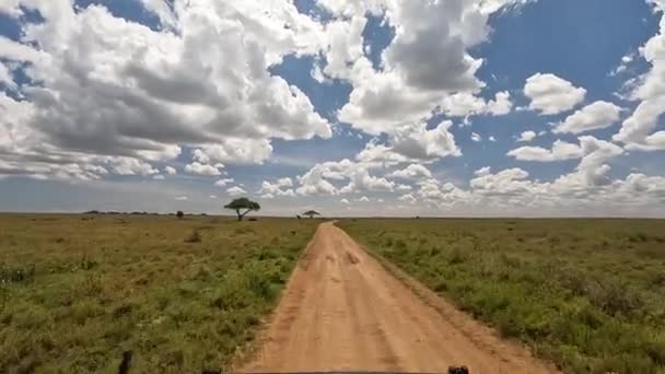 Verbazingwekkende Natuur Van Afrika Uitzicht Groene Velden Van Het Tanzania — Stockvideo