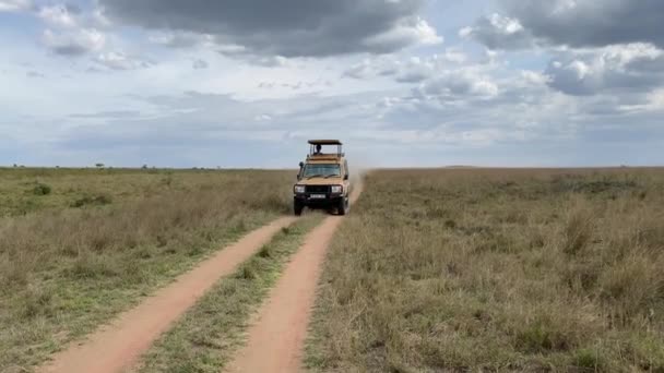 Národní Park Serengeti Tanzanie Ledna 2022 Žlutý Safari Džíp Turisty — Stock video